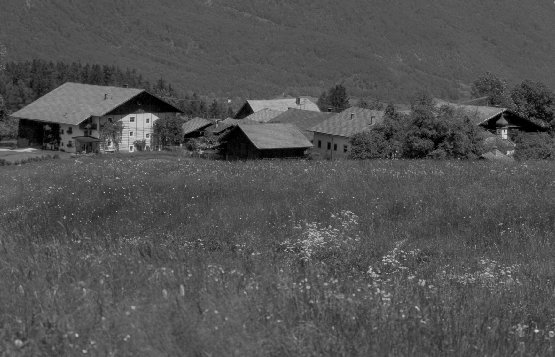 \resizebox*{1\columnwidth}{!}{\includegraphics{Bilder/Hof.eps}}